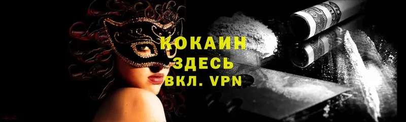 дарнет шоп  Гусев  COCAIN VHQ 