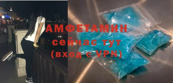 шишки Бородино