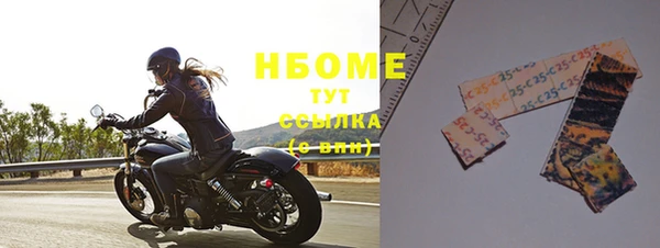 шишки Бородино