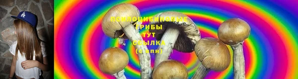 мяу мяу мука Бугульма