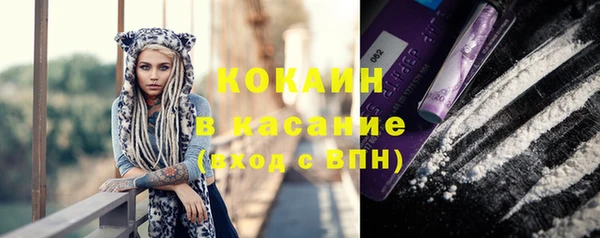 шишки Бородино