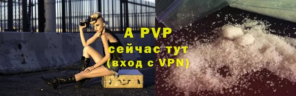 шишки Бородино