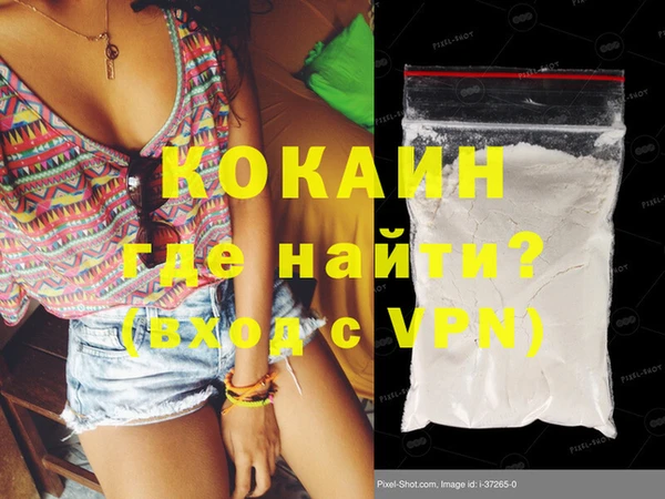 шишки Бородино