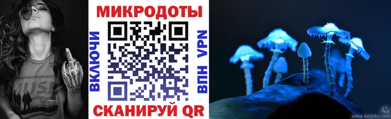 Псилоцибиновые грибы мицелий  Гусев 