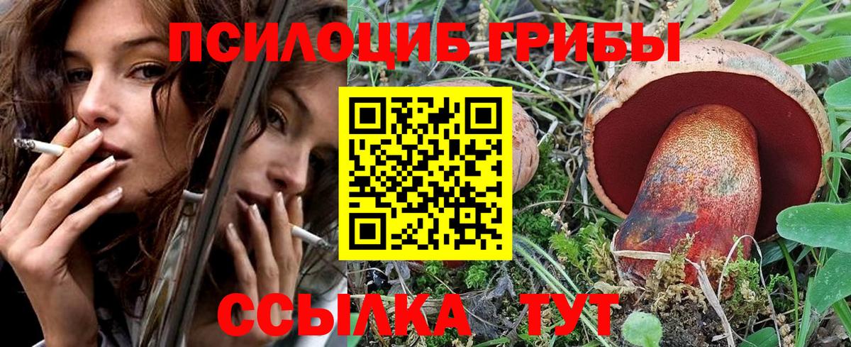 Галлюциногенные грибы Psilocybine cubensis Гусев