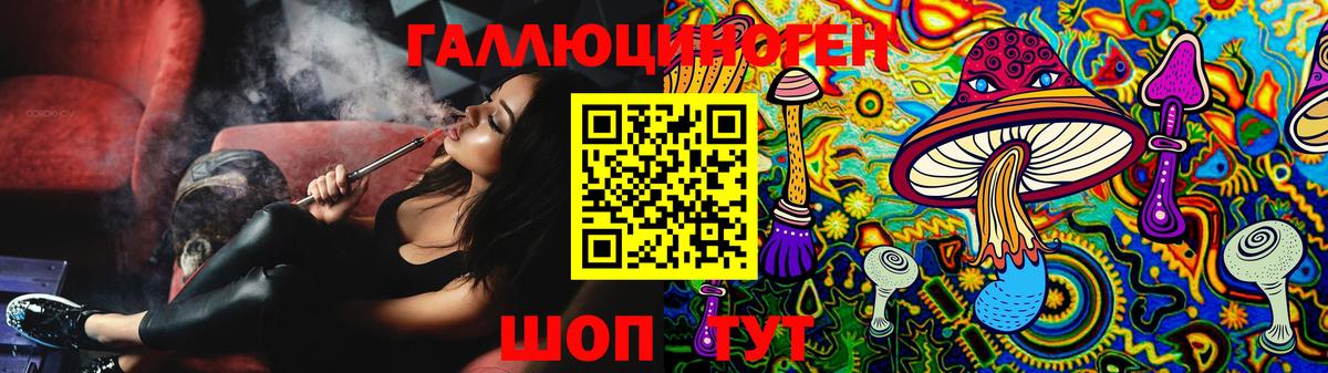 Псилоцибиновые грибы Cubensis  Псилоцибиновые грибы Psilocybe  Гусев  Вход с VPN 