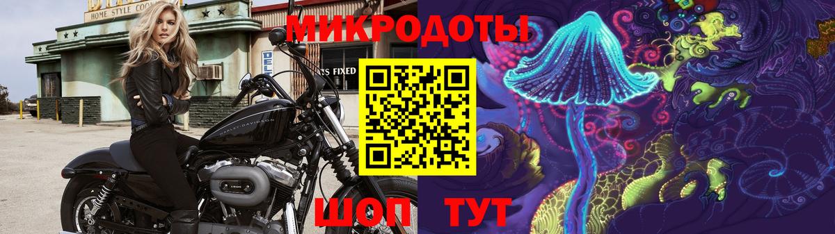 купить закладку  Гусев  Псилоцибиновые грибы прущие грибы  Псилоцибиновые грибы GOLDEN TEACHER 